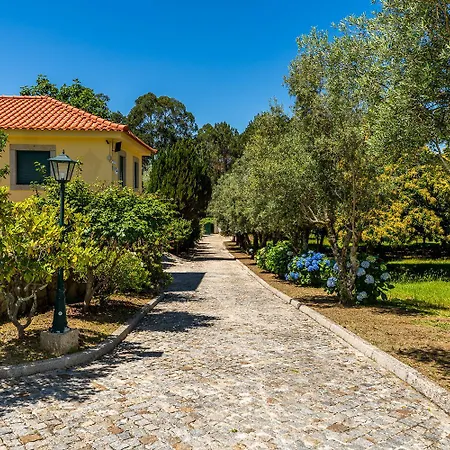 別荘 Quinta O Paraiso Brandara