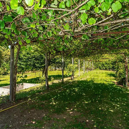 Quinta O Paraiso *